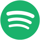 Spotify Wrapped campaign