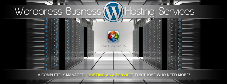 Wordpress Hosting | Wordpress Web Hosting | Wordpress Website Hosting Company | Best Wordpress Web Hosting Firm
