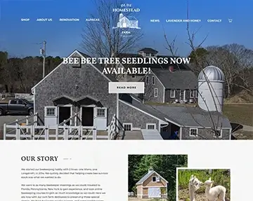 Wordpress Design Portfolio