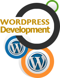 Award Winning #1 Best Professional Wordpress Development Company